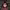 https://res.cloudinary.com/billionhands/image/upload/v1778254531/items/d8wibv2wodl6s0imggvt.jpg-1cover