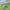 https://res.cloudinary.com/billionhands/image/upload/v1778254533/items/njea33k9y2fjws9iex95.jpg-3cover