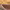 https://res.cloudinary.com/billionhands/image/upload/v1778258180/items/h6yjg099wmoofwveqb2t.jpg-3cover