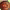 https://res.cloudinary.com/billionhands/image/upload/v1778258181/items/wprweogoanr2xtifqvgr.jpg-1cover