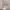 https://res.cloudinary.com/billionhands/image/upload/v1778258627/items/d5wrtijhcwrtbguqbt1z.jpg-3cover