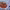https://res.cloudinary.com/billionhands/image/upload/v1778260300/items/ofxahjel49q380fkczq6.jpg-1cover
