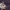 https://res.cloudinary.com/billionhands/image/upload/v1778260339/items/cygz44pycs1anueiofch.jpg-1cover