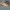 https://res.cloudinary.com/billionhands/image/upload/v1778260340/items/i0h1or2ka720qvkuqitb.jpg-3cover