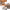 https://res.cloudinary.com/billionhands/image/upload/v1778264684/items/rshxfbxx8zkytgmuowpd.webp-0cover