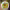 https://res.cloudinary.com/billionhands/image/upload/v1778265214/items/gtko5gdywaqgq9xajkbf.jpg-3cover