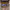 https://res.cloudinary.com/billionhands/image/upload/v1778265512/items/yfdqupy4worrxj5jdmb0.png-1cover