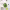 Batido de Aguacate cover