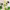 https://res.cloudinary.com/billionhands/image/upload/v1778268725/items/m94h9qlwtddxpcepeyct.jpg-1cover
