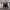 https://res.cloudinary.com/billionhands/image/upload/v1778268948/items/trilqd2jvrvhz9vsr9tt.jpg-1cover