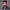 https://res.cloudinary.com/billionhands/image/upload/v1778271439/items/jg04qeqluxh1yqowl6tu.jpg-0cover