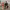 https://res.cloudinary.com/billionhands/image/upload/v1778271440/items/dh9kgvpdqiuqai8xmcs8.avif-1cover