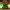 https://res.cloudinary.com/billionhands/image/upload/v1778285011/items/jzml1bygwwzc1dxrj4vx.jpg-1cover