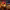 https://res.cloudinary.com/billionhands/image/upload/v1778286690/items/oueuzqmrkhlqgdodam08.webp-1cover