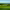 Iberostar Real Novo Sancti Petri Golf Club cover