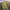 https://res.cloudinary.com/billionhands/image/upload/v1778296859/items/x8jvz4iqxlt5kj9pkjwy.jpg-2cover