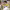 https://res.cloudinary.com/billionhands/image/upload/v1778305380/items/uthissl3himz5tfidq2a.webp-2cover