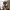 https://res.cloudinary.com/billionhands/image/upload/v1778307820/items/rdcvcurmnkw1tr1seheg.avif-1cover
