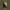 https://res.cloudinary.com/billionhands/image/upload/v1778311138/items/z7nosudvt6dlkku30vru.jpg-0cover