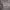 https://res.cloudinary.com/billionhands/image/upload/v1778311143/items/plnvqqv2csejutwso4jp.jpg-2cover