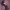 https://res.cloudinary.com/billionhands/image/upload/v1778319147/items/qcnedrsazwrsvy6tvocg.png-1cover