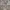 https://res.cloudinary.com/billionhands/image/upload/v1778322920/items/gskxyan5hiuvqozhlovs.jpg-0cover