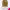 https://res.cloudinary.com/billionhands/image/upload/v1778334251/items/b8edicdszbyxssabcr13.jpg-1cover