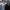 https://res.cloudinary.com/billionhands/image/upload/v1778345127/items/husoqwrbcfacq9yhwufy.webp-2cover
