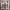 https://res.cloudinary.com/billionhands/image/upload/v1778345441/items/nisgvzccxglvzrs8jh1t.webp-1cover