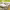 https://res.cloudinary.com/billionhands/image/upload/v1778347265/items/ikhmknrlqdgrxfl5ivrc.webp-1cover