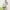 https://res.cloudinary.com/billionhands/image/upload/v1778355134/items/l1rf3mpvkdh20sd2fbfq.jpg-0cover