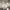 https://res.cloudinary.com/billionhands/image/upload/v1778359189/items/qwllgrz4poijn0rttc6s.webp-1cover