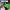 https://res.cloudinary.com/billionhands/image/upload/v1778359885/items/b9gz6tmcgadqfs0x90yh.jpg-2cover