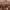 https://res.cloudinary.com/billionhands/image/upload/v1778363127/items/l7areooy42ayezdw6few.jpg-1cover