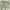 https://res.cloudinary.com/billionhands/image/upload/v1778363128/items/iuo0gi7sazwbyo9y88i4.webp-2cover