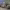 https://res.cloudinary.com/billionhands/image/upload/v1778363154/items/xju1qzoaxkock5mbfsgm.jpg-3cover