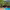 https://res.cloudinary.com/billionhands/image/upload/v1778372660/items/z8ddw3dtf7g5r2jtwveu.jpg-3cover