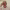 https://res.cloudinary.com/billionhands/image/upload/v1778372663/items/bxtnllkwhsn0uehg1esu.jpg-2cover