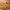 https://res.cloudinary.com/billionhands/image/upload/v1778373617/items/magvxr7fevfmgblfijwg.jpg-1cover
