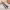 https://res.cloudinary.com/billionhands/image/upload/v1778388621/items/y579gg8mfsqbf4jivnrj.jpg-2cover