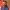 https://res.cloudinary.com/billionhands/image/upload/v1778394919/items/fxm0vkajnvdnaodbpyif.webp-0cover