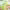 https://res.cloudinary.com/billionhands/image/upload/v1778395754/items/jwialtatuhkhkb6u8o25.webp-0cover