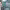Skadden, Arps, Slate, Meagher & Flom LLP cover