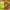 https://res.cloudinary.com/billionhands/image/upload/v1778397224/items/cm9xyutjrnhuo2iwbbja.webp-2cover
