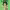 https://res.cloudinary.com/billionhands/image/upload/v1778399431/items/xnxf1udjtw6zwintyyyh.jpg-3cover