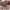 https://res.cloudinary.com/billionhands/image/upload/v1778399786/items/yfunstjujwdzyykw9mml.jpg-2cover