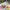 https://res.cloudinary.com/billionhands/image/upload/v1778399804/items/zdcztlzlhmpmcugrbdxl.jpg-1cover