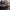 Max Linder Panorama cover