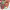 https://res.cloudinary.com/billionhands/image/upload/v1778411967/items/lgehsbsgcndfgxo7gimh.webp-3cover