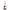 https://res.cloudinary.com/billionhands/image/upload/v1778414389/items/gwut7fzsilruqesqgj4i.jpg-2cover